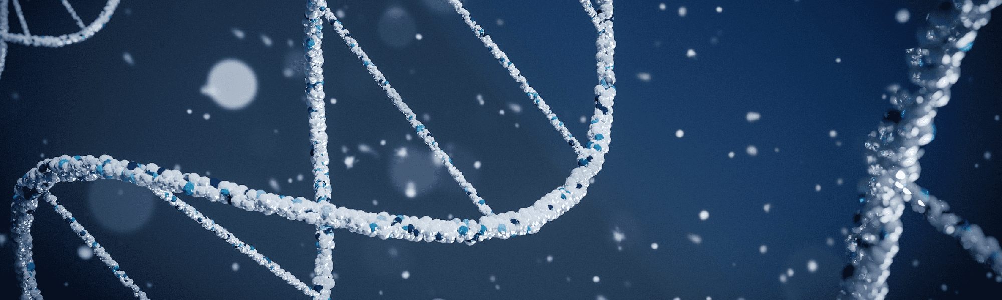 Catalyzing Healthcare Transformation: The Confluence of Precision Medicine and Digital Health Innovation